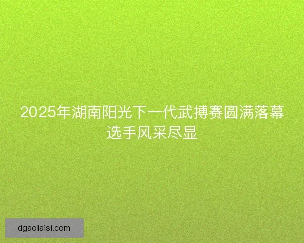 2025年湖南阳光下一代武搏赛圆满落幕选手风采尽显